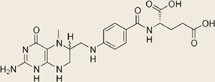 5-Methyltetrahydrofolate