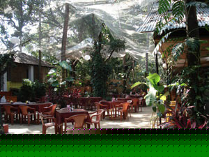 The Most Happening Restaurant in Goa!