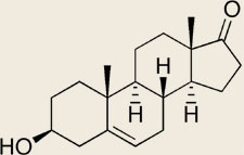 benefits-of-dhea