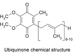 coenzyme-q10-source