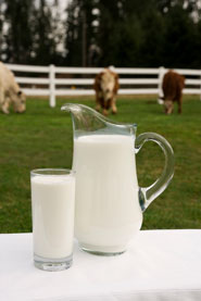 dairy-products