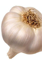 Raw Garlic Bulb