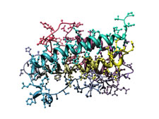 growth-hormone-releaser