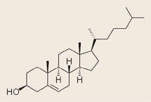 low-cholesterol-problems