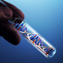 methylation-detection