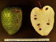 The Soursop Fruit