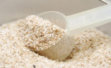 now-psyllium-husks