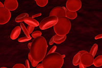 reb-blood-cell-fatty-acid-test