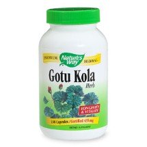 benefits of gotu   kola