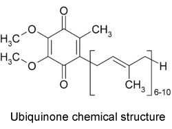 coenzyme-q10-source