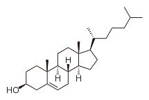 inflammation-and-cholesterol