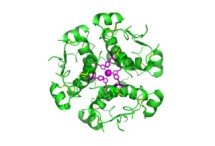 insulin-molecule