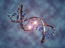 methylation-cycle